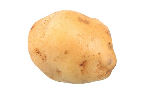 Potato