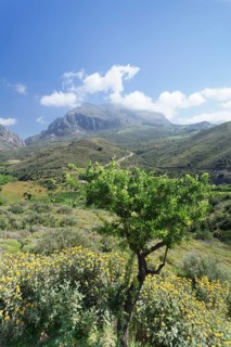 Valley of Megalopotamos