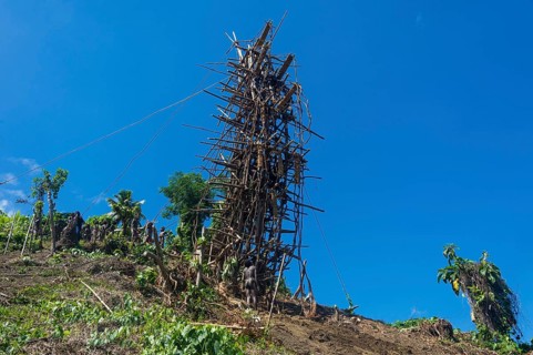Bamboo tower for Pentecost land diving