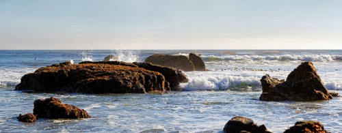 Rocks in the surf with brown algae (Phaeophyceae)