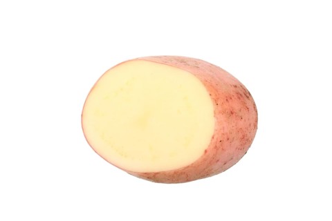 Potato
