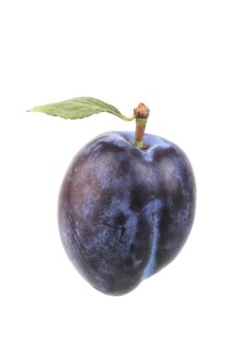 Plum