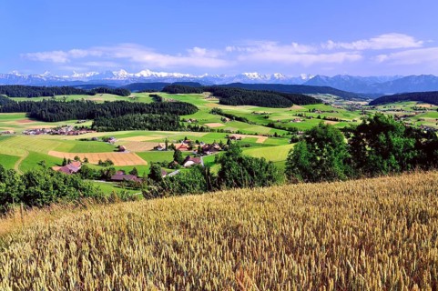 View of the Emmental