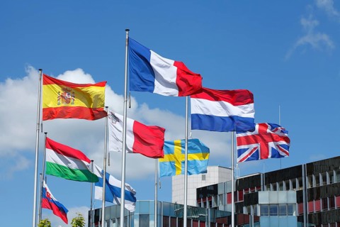 Waving international flags in front of the European Parliament