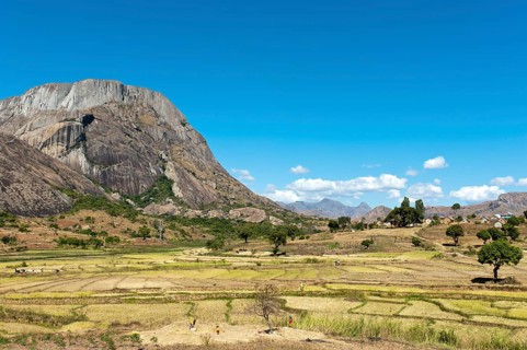Landscape