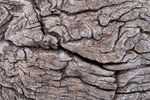 Weathered wood