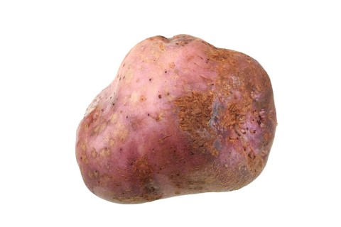 Potato