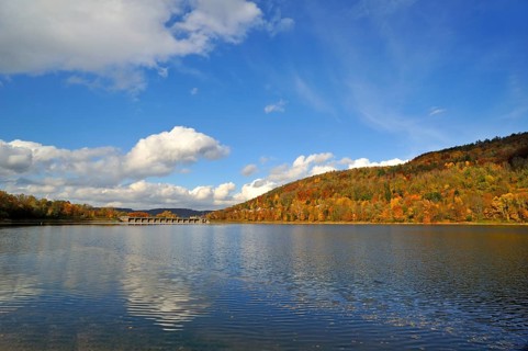Autumn forest on the Happurger See reservoir