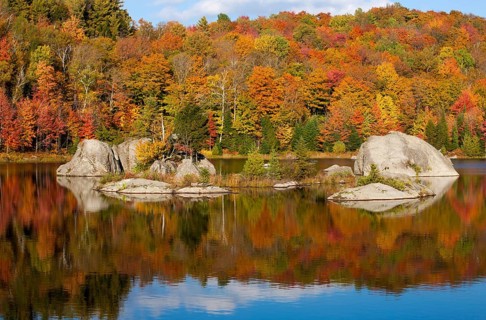 Forest and large rocks being reflected in beaver pond in autumn