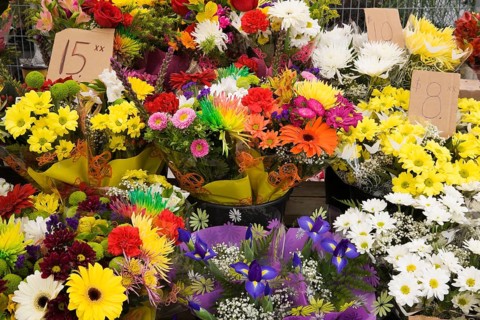 Bouquets of gerbera