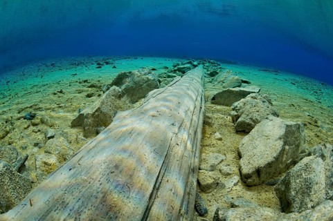 Underwater view