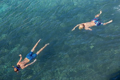 Snorkelers
