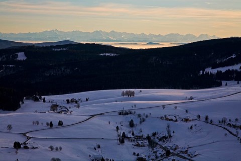 View of Hofsgrund and the Swiss Alps seen from Schauinsland mountain