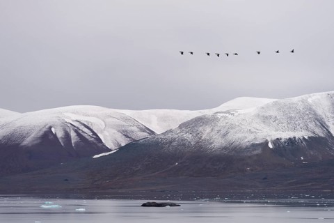 Monacobreen glacier