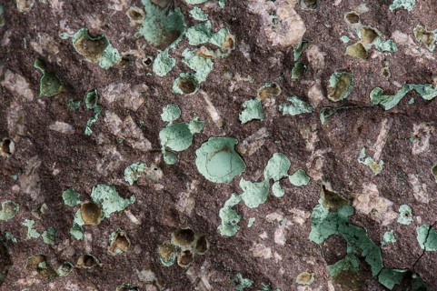 Zeolite druses