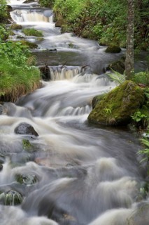 Kleine Ohe mountain stream