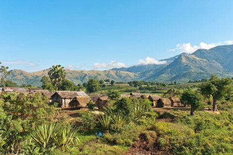 Huts in the village of the Antandroy people