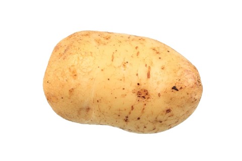 Potato