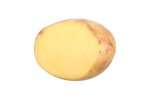 Potato