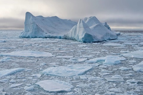 Iceberg floating in pack ice