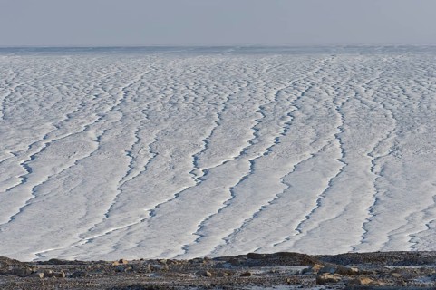 Glacier