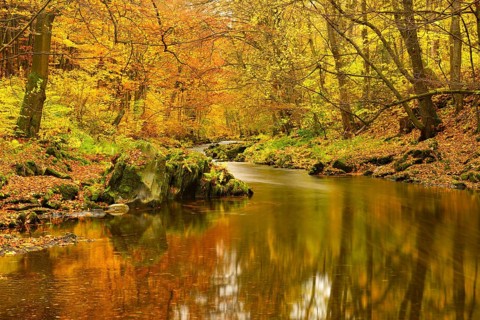 Schwarza River in the autumn