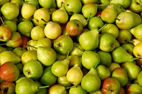 Fresh pears and apples
