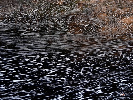 Typical foam structures on a blackwater river
