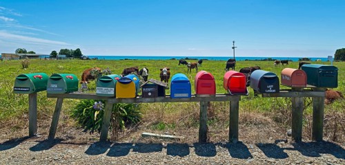 Several mailboxes at a cow pasture