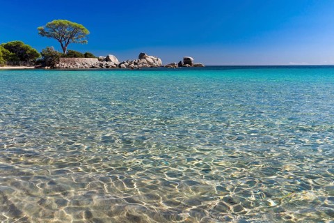 Beach of Palombaggia