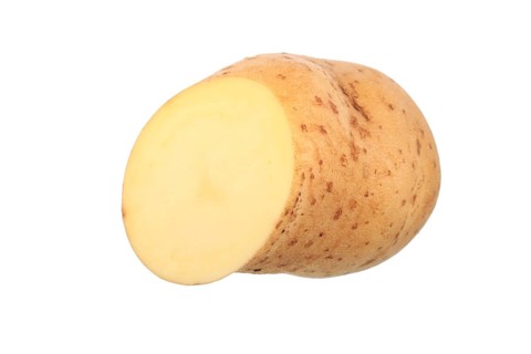 Potato