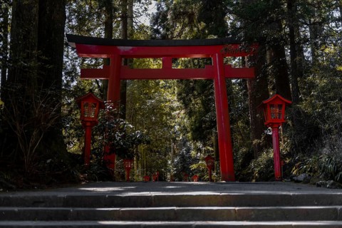 Torii Gate