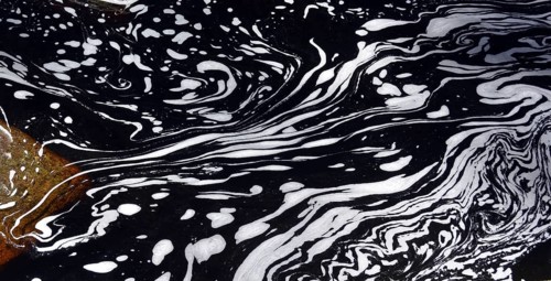 Typical foam structures on a blackwater river