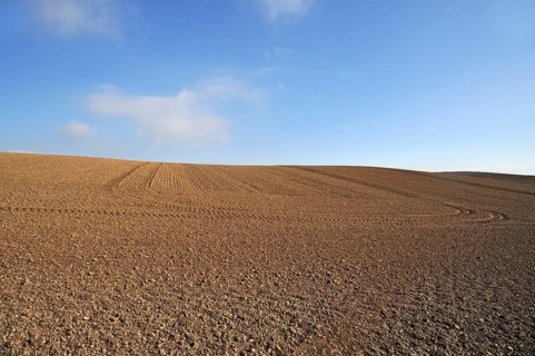 Large field ready for sowing