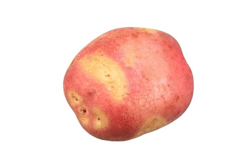 Potato