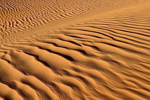 Sand ripples
