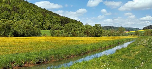 The Anlauter river in Anlautertal valley with flower meadows