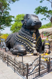 Statue of a decorated holy cow