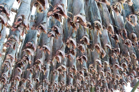 Dried cod
