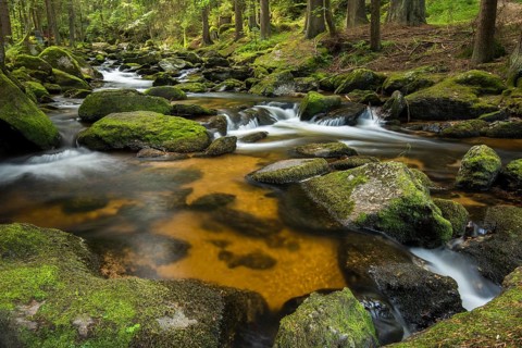 Hollfall brook