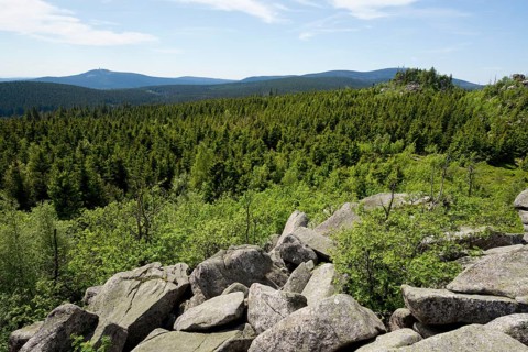 View from Hohnekamm saddle to Mt Wurmberg