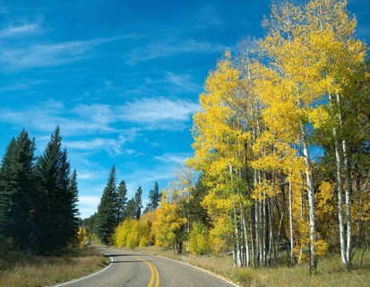 Highway 12 through autumnal aspen forest