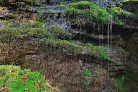 Waterfall on the Grossen Arbersee lake