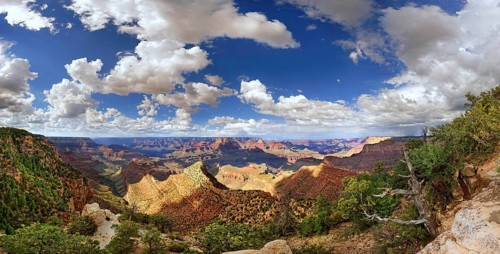 View of the Grand Canyon