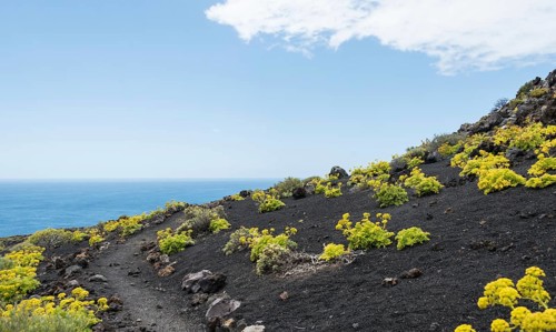 Hiking trail through a lava landscape