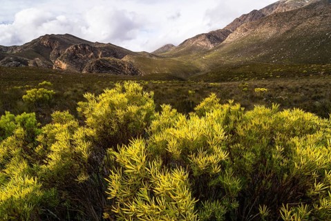 Landscape in Gamkaskloof or 'Die Hel' Valley