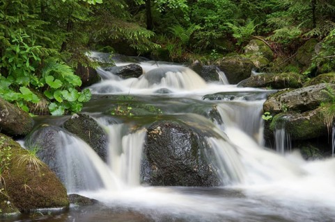Kleine Ohe mountain stream