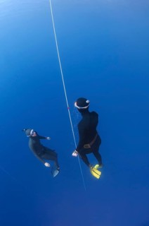 Freedivers