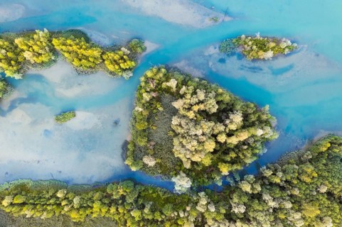 Wooded small islands in the Isar reservoir Tolz
