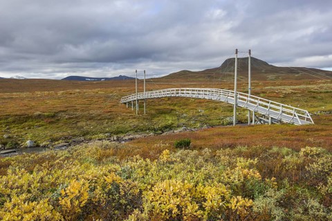 Suspension bridge